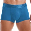 Fluorescent Quick Drying Mesh Trunks(Fluorescent Quick Drying Mesh Trunks)