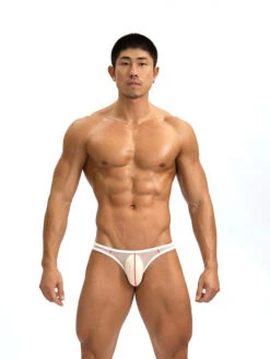 2 Pack Men’s See-through Mesh Bikini(2 Pack Men S See Through Mesh Bikini)