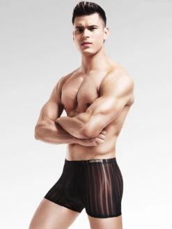 3 Pack See Through Breathable Men's Underwear(3 Pack See Through Breathable Mens Underwear) 21 3 Pack See Through Breathable Men's Underwear(3 Pack See Through Breathable Mens Underwear) -Mr Saker 10354575962 1692867452 d6491ceb b0a2 4abd ab49 1676e94c3484