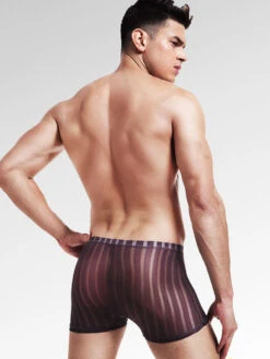 3 Pack See Through Breathable Men's Underwear(3 Pack See Through Breathable Mens Underwear) 22 3 Pack See Through Breathable Men's Underwear(3 Pack See Through Breathable Mens Underwear) -Mr Saker 10354620081 1692867452 06e10206 8f23 415b ba6f c817e7842f36