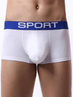 3 Pack Mens Sculpt Bulge Shape Support Pouch Underwear(3 Pack Mens Sculpt Bulge Shape Support Pouch Underwear) 29 3 Pack Mens Sculpt Bulge Shape Support Pouch Underwear(3 Pack Mens Sculpt Bulge Shape Support Pouch Underwear) -Mr Saker 10 ab9608ff e01f 4583 ad13 20ddaef1e2fd