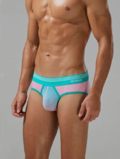 Men’s Spliced Lines Briefs In Ombre(Men S Spliced Lines Briefs In Ombre) 25 Men’s Spliced Lines Briefs In Ombre(Men S Spliced Lines Briefs In Ombre) -Mr Saker 14 fa7682ce 1d46 4a15 b87d da99a99c1961