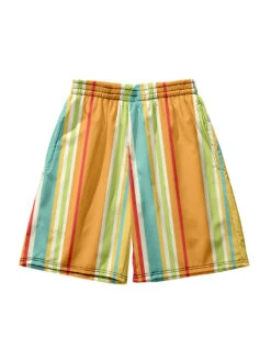 Men's Multicolor Stripe Leisure Swim Shorts(Mens Multicolor Stripe Leisure Swim Shorts) 22 Men's Multicolor Stripe Leisure Swim Shorts(Mens Multicolor Stripe Leisure Swim Shorts) -Mr Saker 14ddbcb198533a9c41b5e0d0f117e22c