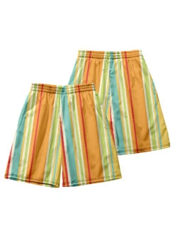 Men's Multicolor Stripe Leisure Swim Shorts(Mens Multicolor Stripe Leisure Swim Shorts) 27 Men's Multicolor Stripe Leisure Swim Shorts(Mens Multicolor Stripe Leisure Swim Shorts) -Mr Saker 15378af1f91e2b6131659906b431e7b3
