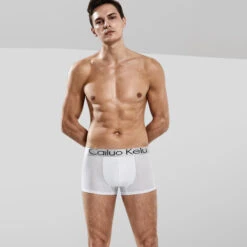 3 Pcs Men's Mesh Breathable Ice Silk Boxer Briefs(3 Pcs Mens Mesh Breathable Ice Silk Boxer Briefs) 28 3 Pcs Men's Mesh Breathable Ice Silk Boxer Briefs(3 Pcs Mens Mesh Breathable Ice Silk Boxer Briefs) -Mr Saker 1775b9b365613ad1d8b2949d4a2fdefa