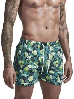 Mens Tropical Print Drawstring Quick Dry Board Shorts(Mens Tropical Print Drawstring Quick Dry Board Shorts) 30 Mens Tropical Print Drawstring Quick Dry Board Shorts(Mens Tropical Print Drawstring Quick Dry Board Shorts) -Mr Saker 19dc6d2c83cd24ef97f9417ba934e782