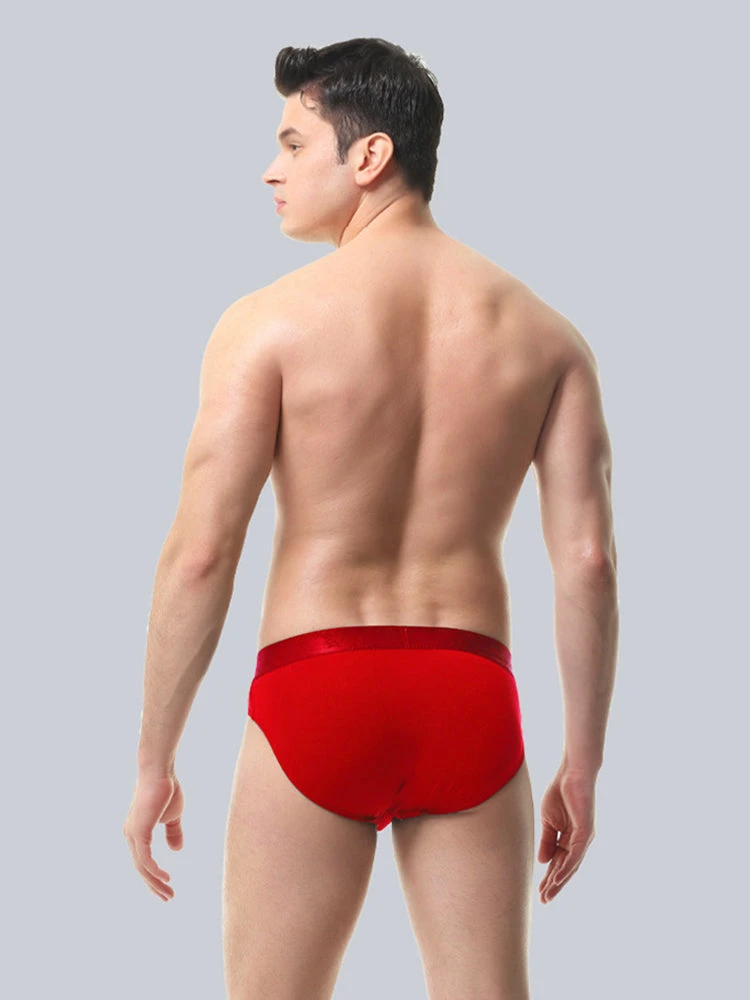 Anion Pit Massage Breathable Briefs Underwear(Anion Pit Massage Breathable Briefs Underwear Mrsaker) 15 Anion Pit Massage Breathable Briefs Underwear(Anion Pit Massage Breathable Briefs Underwear Mrsaker) - Image 15