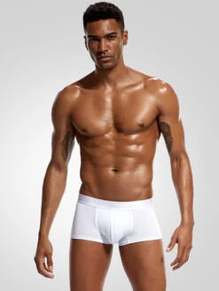 2 Pack Men's U Convex Modal Breathable Trunks(2 Pack Mens U Convex Modal Breathable Trunks Mrsaker)