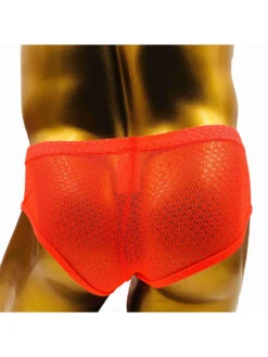 2 Pack Men's Low-Rise Lace Semi-Transparent Trunks(2 Pack Mens Low Rise Lace Semi Transparent Trunks) 28 2 Pack Men's Low-Rise Lace Semi-Transparent Trunks(2 Pack Mens Low Rise Lace Semi Transparent Trunks) -Mr Saker 1 13 3c5f8201 b82b 463c a0b4 5d4e0d6b105b