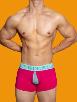 2 Pack Men's Mesh Transparent Open-Cut Cotton Mesh Trunks(2 Pack Mens Mesh Transparent Open Cut Cotton Mesh Trunks) 36 2 Pack Men's Mesh Transparent Open-Cut Cotton Mesh Trunks(2 Pack Mens Mesh Transparent Open Cut Cotton Mesh Trunks) -Mr Saker 1 13 994e76cc 799a 46c4 82a3 ddd776218398