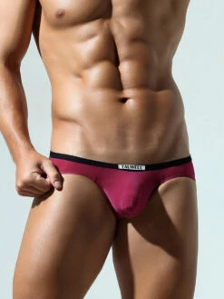 2-pack Men's Low-rise Nylon Briefs(2 Pack Mens Low Rise Nylon Briefs) 31 2-pack Men's Low-rise Nylon Briefs(2 Pack Mens Low Rise Nylon Briefs) -Mr Saker 1 15 18beb5f7 1cc0 41f2 b5a2 a1f3c81ecb01