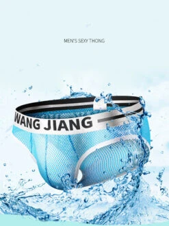 2 Pack Men's Sexy Mesh Sheer Briefs With U-Shaped Pocket(2 Pack Mens Sexy Mesh Sheer Briefs With U Shaped Pocket) 23 2 Pack Men's Sexy Mesh Sheer Briefs With U-Shaped Pocket(2 Pack Mens Sexy Mesh Sheer Briefs With U Shaped Pocket) -Mr Saker 1 15 76b50418 d158 4f52 815e ccb03c2aad9f