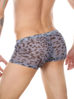 4 Pack Leopard Print See-through Mesh Trunks(4 Pack Leopard Print See Through Mesh Trunks) 30 4 Pack Leopard Print See-through Mesh Trunks(4 Pack Leopard Print See Through Mesh Trunks) -Mr Saker 1 16 f111b49d 2682 4ccc 8e49 1f36eb743174