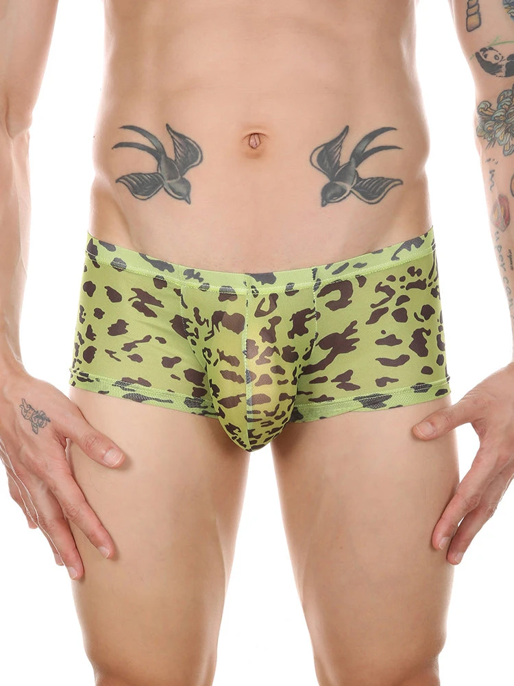4 Pack Leopard Print See-through Mesh Trunks(4 Pack Leopard Print See Through Mesh Trunks) 12 4 Pack Leopard Print See-through Mesh Trunks(4 Pack Leopard Print See Through Mesh Trunks) - Image 12
