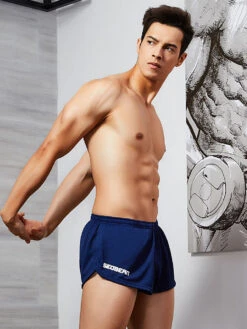 Men's Antibacterial Breathable Sportswear Boxers(Mens Breathable Sportswear Boxers) 30 Men's Antibacterial Breathable Sportswear Boxers(Mens Breathable Sportswear Boxers) -Mr Saker 1 18 5cc0afb4 9a50 452d 8ed9 8bdf5ec6fb7c