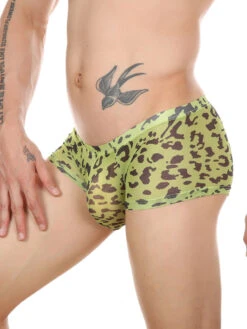 4 Pack Leopard Print See-through Mesh Trunks(4 Pack Leopard Print See Through Mesh Trunks) 32 4 Pack Leopard Print See-through Mesh Trunks(4 Pack Leopard Print See Through Mesh Trunks) -Mr Saker 1 18 b4ac5649 1a25 423c b516 ddd785037803