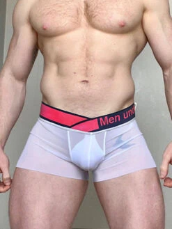 Men's Quick-Dry Semi-Sheer Lightweight Ice Silk Trunks(Mens Quick Dry Semi Sheer Lightweight Ice Silk Trunks) 28 Men's Quick-Dry Semi-Sheer Lightweight Ice Silk Trunks(Mens Quick Dry Semi Sheer Lightweight Ice Silk Trunks) -Mr Saker 1 18 c4a48689 d312 4668 b0ae 4bad69ef7b27