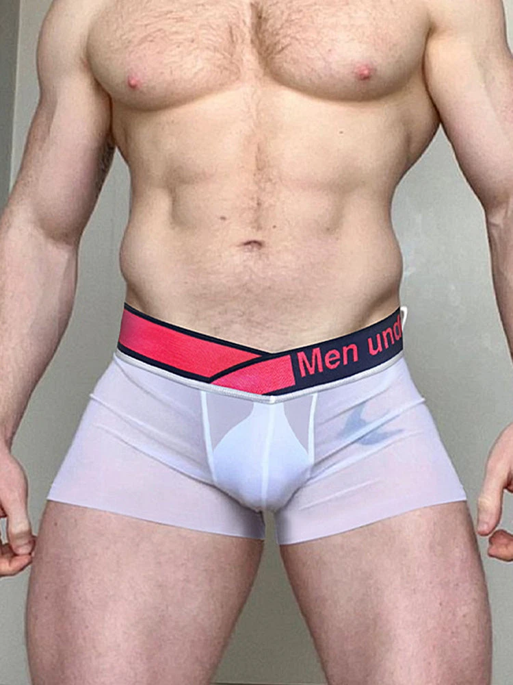 Men's Quick-Dry Semi-Sheer Lightweight Ice Silk Trunks(Mens Quick Dry Semi Sheer Lightweight Ice Silk Trunks) 9 Men's Quick-Dry Semi-Sheer Lightweight Ice Silk Trunks(Mens Quick Dry Semi Sheer Lightweight Ice Silk Trunks) - Image 9