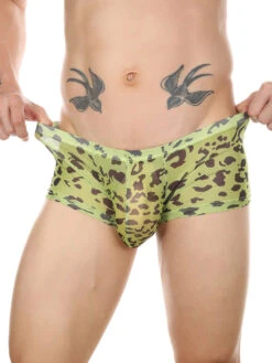 4 Pack Leopard Print See-through Mesh Trunks(4 Pack Leopard Print See Through Mesh Trunks) 34 4 Pack Leopard Print See-through Mesh Trunks(4 Pack Leopard Print See Through Mesh Trunks) -Mr Saker 1 19 74afe73d 4950 4c6a a3d2 52bc79855a45