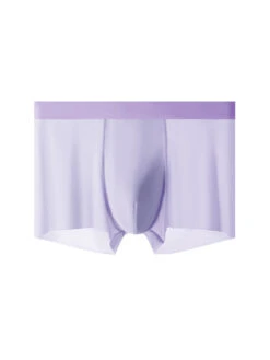 4-Pack Men's Stretch Fit Anti-Odor Seamless Ice Silk Trunks(4 Pack Mens Stretch Fit Anti Odor Seamless Ice Silk Trunks) 31 4-Pack Men's Stretch Fit Anti-Odor Seamless Ice Silk Trunks(4 Pack Mens Stretch Fit Anti Odor Seamless Ice Silk Trunks) -Mr Saker 1 1 2417a568 413e 455c ae31 871434a3c313