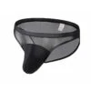 2 Pack Men's Seductive Mesh Sheer Briefs(2 Pack Mens Seductive Mesh Sheer Briefs)