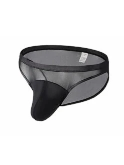 2 Pack Men's Seductive Mesh Sheer Briefs(2 Pack Mens Seductive Mesh Sheer Briefs)