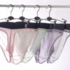 Men's Ultra Thin Ice Silk See-through Briefs(Mens Sexy Transparent Suspender Briefs 1)