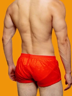 Men's Low Rise Sheer Boxer Shorts(Mens Low Rise Sheer Boxer Shorts) -Mr Saker 1 29 2f68e5b0 98ae 4782 bcac f8fc39c61005