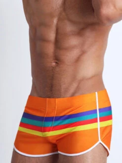 Men's Rainbow Striped Swimming Trunks(Mens Rainbow Striped Swimming Trunks) 20 Men's Rainbow Striped Swimming Trunks(Mens Rainbow Striped Swimming Trunks) -Mr Saker 1 2 8f57e426 ed57 483b 8f0f 4f44a517818e