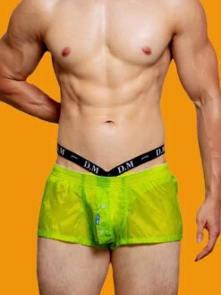 Men's Low Rise Sheer Boxer Shorts(Mens Low Rise Sheer Boxer Shorts) -Mr Saker 1 31 c5735d25 a8ab 47f7 9198 e6a3ea026f9c