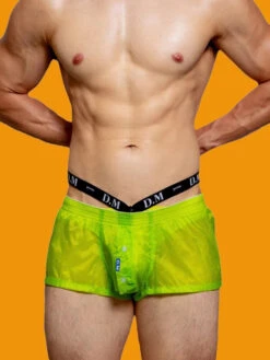 Men's Low Rise Sheer Boxer Shorts(Mens Low Rise Sheer Boxer Shorts) -Mr Saker 1 32 3c584c7b f6bf 4077 8677 4b9714c73d3f