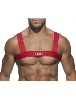 Men's Fitness Chest Strap(Mens Fitness Chest Strap) 23 Men's Fitness Chest Strap(Mens Fitness Chest Strap) -Mr Saker 1 34 e6f4bc58 7ab2 47db bc9c 1c4050e82768