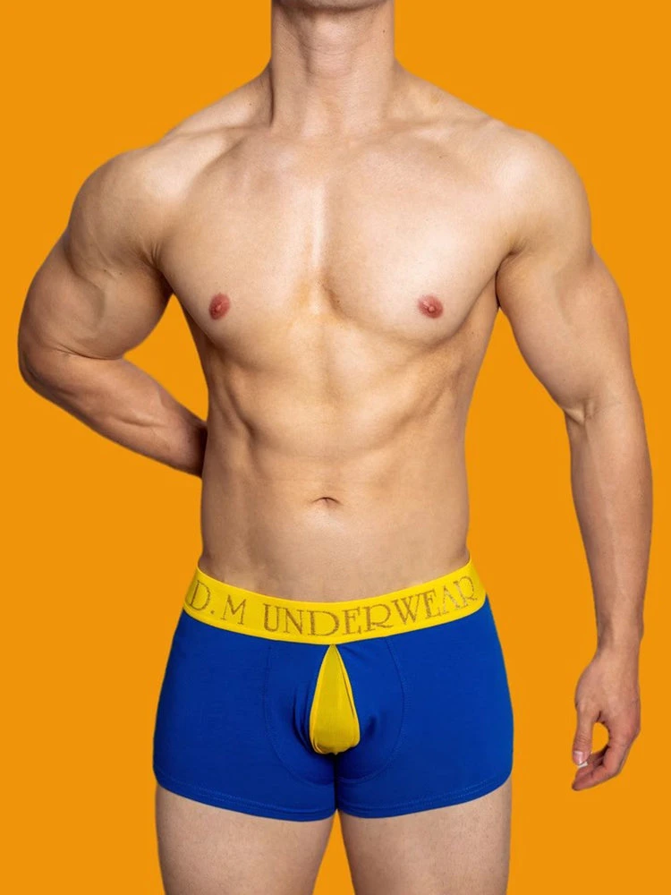 2 Pack Men's Mesh Transparent Open-Cut Cotton Mesh Trunks(2 Pack Mens Mesh Transparent Open Cut Cotton Mesh Trunks) 3 2 Pack Men's Mesh Transparent Open-Cut Cotton Mesh Trunks(2 Pack Mens Mesh Transparent Open Cut Cotton Mesh Trunks) - Image 3