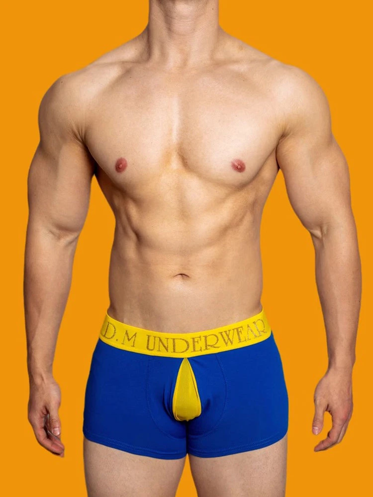 2 Pack Men's Mesh Transparent Open-Cut Cotton Mesh Trunks(2 Pack Mens Mesh Transparent Open Cut Cotton Mesh Trunks) 4 2 Pack Men's Mesh Transparent Open-Cut Cotton Mesh Trunks(2 Pack Mens Mesh Transparent Open Cut Cotton Mesh Trunks) - Image 4