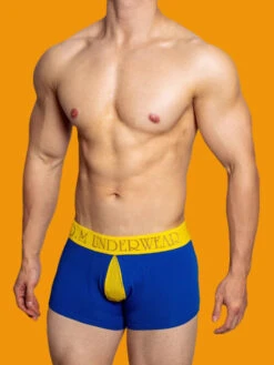 2 Pack Men's Mesh Transparent Open-Cut Cotton Mesh Trunks(2 Pack Mens Mesh Transparent Open Cut Cotton Mesh Trunks) 25 2 Pack Men's Mesh Transparent Open-Cut Cotton Mesh Trunks(2 Pack Mens Mesh Transparent Open Cut Cotton Mesh Trunks) -Mr Saker 1 38 c4ecb35d 55c8 416f bd8d 08715af9f0e0