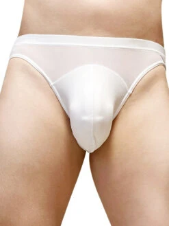 2 Pack Men's Seductive Mesh Sheer Briefs(2 Pack Mens Seductive Mesh Sheer Briefs) 20 2 Pack Men's Seductive Mesh Sheer Briefs(2 Pack Mens Seductive Mesh Sheer Briefs) -Mr Saker 1 3 c535cde3 dc2c 4437 811e 677e12bf96de