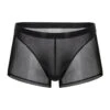 Sexy Panelled Mesh Trunks For Men(Sexy Panelled Mesh Trunks For Men)