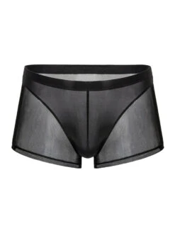 Sexy Panelled Mesh Trunks For Men(Sexy Panelled Mesh Trunks For Men)