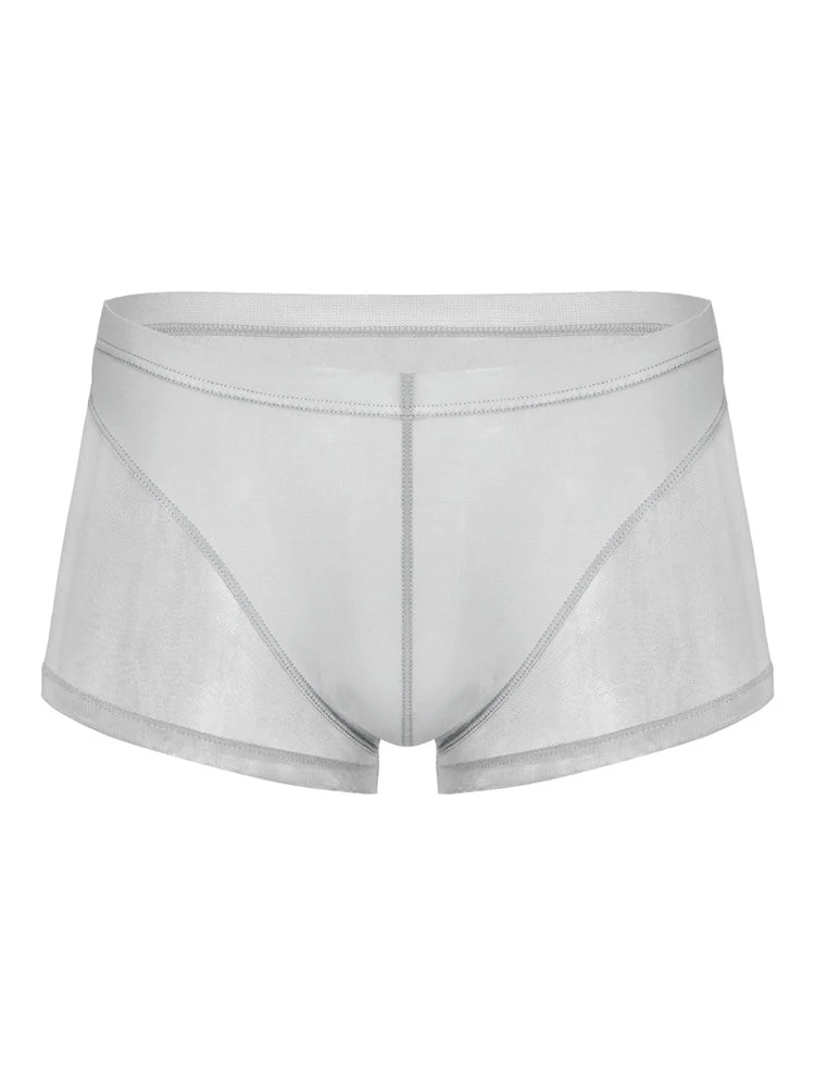 Sexy Panelled Mesh Trunks For Men(Sexy Panelled Mesh Trunks For Men) 15 Sexy Panelled Mesh Trunks For Men(Sexy Panelled Mesh Trunks For Men) - Image 15