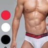 2 Pack Men's V Waistband Modal Briefs(2 Pack Mens V Waistband Modal Briefs)