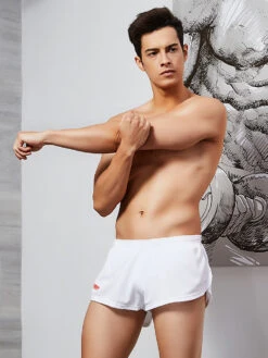 Men's Antibacterial Breathable Sportswear Boxers(Mens Breathable Sportswear Boxers) 28 Men's Antibacterial Breathable Sportswear Boxers(Mens Breathable Sportswear Boxers) -Mr Saker 1 4 a23f80cc f4ab 4e06 876d 2151c7a440ae