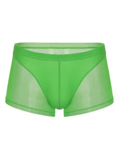 Sexy Panelled Mesh Trunks For Men(Sexy Panelled Mesh Trunks For Men) 37 Sexy Panelled Mesh Trunks For Men(Sexy Panelled Mesh Trunks For Men) -Mr Saker 1 5 3c6f1529 8f64 4231 93d9 d23cb1bab614