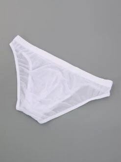 2 Pack Men's Seductive Mesh Sheer Briefs(2 Pack Mens Seductive Mesh Sheer Briefs) 21 2 Pack Men's Seductive Mesh Sheer Briefs(2 Pack Mens Seductive Mesh Sheer Briefs) -Mr Saker 1 5 c5fccbd8 a233 4db9 969f d9ef72f6e251