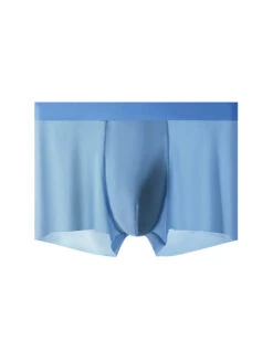 4-Pack Men's Stretch Fit Anti-Odor Seamless Ice Silk Trunks(4 Pack Mens Stretch Fit Anti Odor Seamless Ice Silk Trunks) 36 4-Pack Men's Stretch Fit Anti-Odor Seamless Ice Silk Trunks(4 Pack Mens Stretch Fit Anti Odor Seamless Ice Silk Trunks) -Mr Saker 1 6 23d00ed7 0e81 4a0d 96ee 8b97e2878f1f