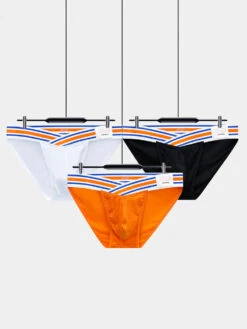 2-pack Men's Striped V-waist High-cut Briefs(2 Pack Mens Striped V Waist High Cut Briefs)