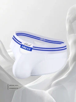 2 Pack Men's Low-Rise Breathable Modal Briefs(2 Pack Mens Low Rise Breathable Modal Briefs) 34 2 Pack Men's Low-Rise Breathable Modal Briefs(2 Pack Mens Low Rise Breathable Modal Briefs) -Mr Saker 1 7 3a65419e 1735 48cb 8cfe 5c4e36f3fd8f