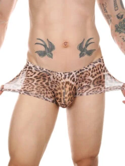 4 Pack Leopard Print See-through Mesh Trunks(4 Pack Leopard Print See Through Mesh Trunks) 22 4 Pack Leopard Print See-through Mesh Trunks(4 Pack Leopard Print See Through Mesh Trunks) -Mr Saker 1 7 e9bc9adc db04 4ae7 a1d6 f577b209fe53