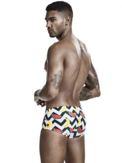 Colorful Quick Dry Swimming Briefs For Men(Colorful Quick Dry Swimming Briefs For Men) -Mr Saker 1 8 a5478fcb ee6c 4ca9 a2e4 9ff2770ad7d7