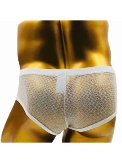 2 Pack Men's Low-Rise Lace Semi-Transparent Trunks(2 Pack Mens Low Rise Lace Semi Transparent Trunks) 24 2 Pack Men's Low-Rise Lace Semi-Transparent Trunks(2 Pack Mens Low Rise Lace Semi Transparent Trunks) -Mr Saker 1 9 5def499a 0a07 4cee 842b 708a749b7d20