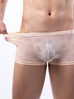 3- Pack Men’s Sexy Heart Mesh Trunks(3 Pack Men S Sexy Heart Mesh Trunks) 27 3- Pack Men’s Sexy Heart Mesh Trunks(3 Pack Men S Sexy Heart Mesh Trunks) -Mr Saker 1 9 6fee01a0 114d 4092 a479 2b81b5d16d4b